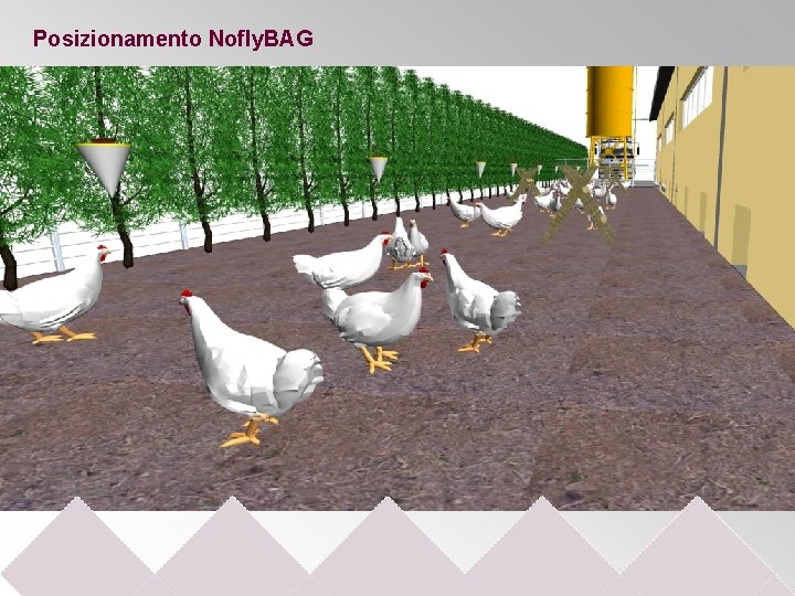 Posizionamento Nofly. BAG 