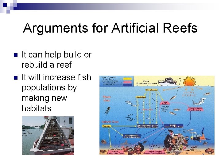 Arguments for Artificial Reefs n n It can help build or rebuild a reef