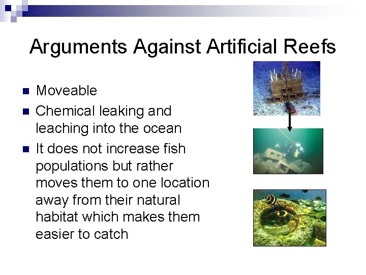 Arguments Against Artificial Reefs n n n Moveable Chemical leaking and leaching into the