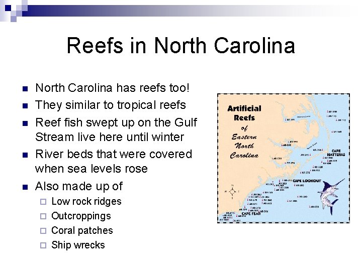 Reefs in North Carolina n n n North Carolina has reefs too! They similar