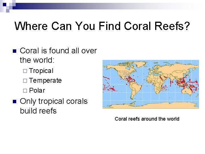 Where Can You Find Coral Reefs? n Coral is found all over the world: