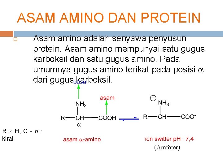 ASAM AMINO DAN PROTEIN Asam amino adalah senyawa penyusun protein. Asam amino mempunyai satu
