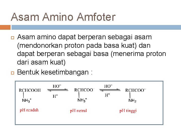 Asam Amino Amfoter Asam amino dapat berperan sebagai asam (mendonorkan proton pada basa kuat)