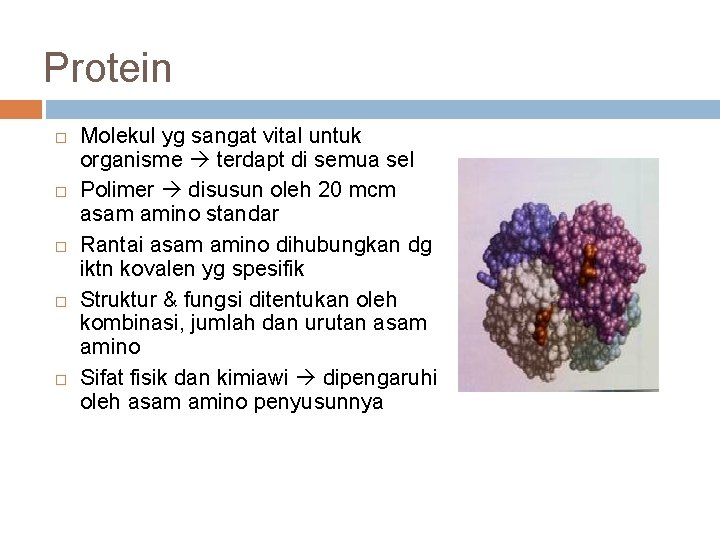 Protein Molekul yg sangat vital untuk organisme terdapt di semua sel Polimer disusun oleh