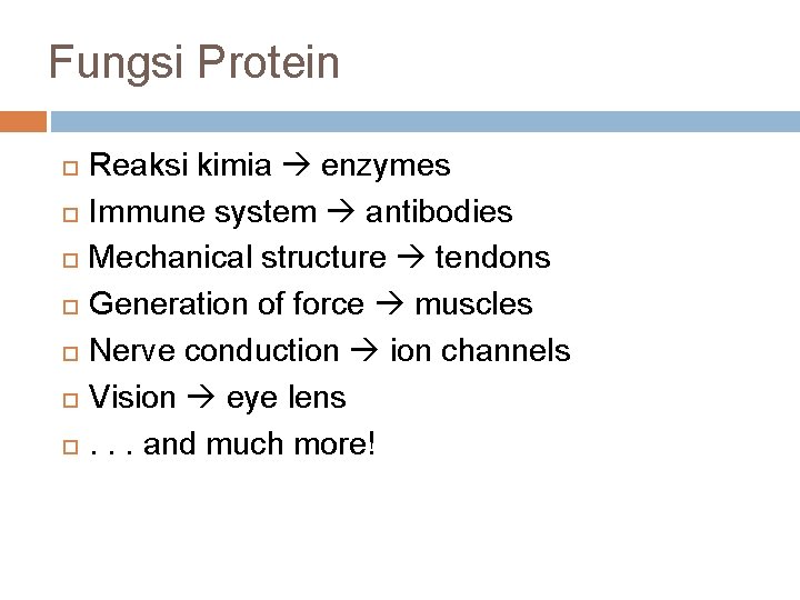Fungsi Protein Reaksi kimia enzymes Immune system antibodies Mechanical structure tendons Generation of force