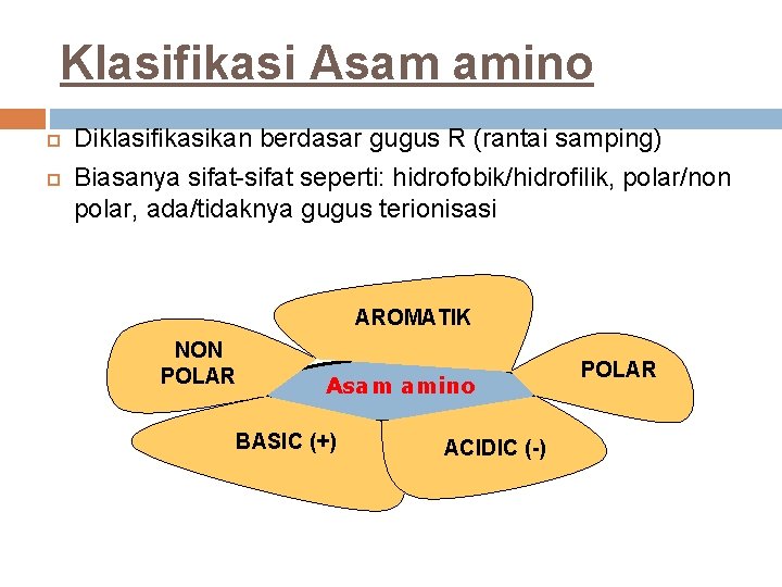 Klasifikasi Asam amino Diklasifikasikan berdasar gugus R (rantai samping) Biasanya sifat-sifat seperti: hidrofobik/hidrofilik, polar/non