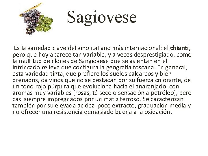 Sagiovese Es la variedad clave del vino italiano más internacional: el chianti, pero que