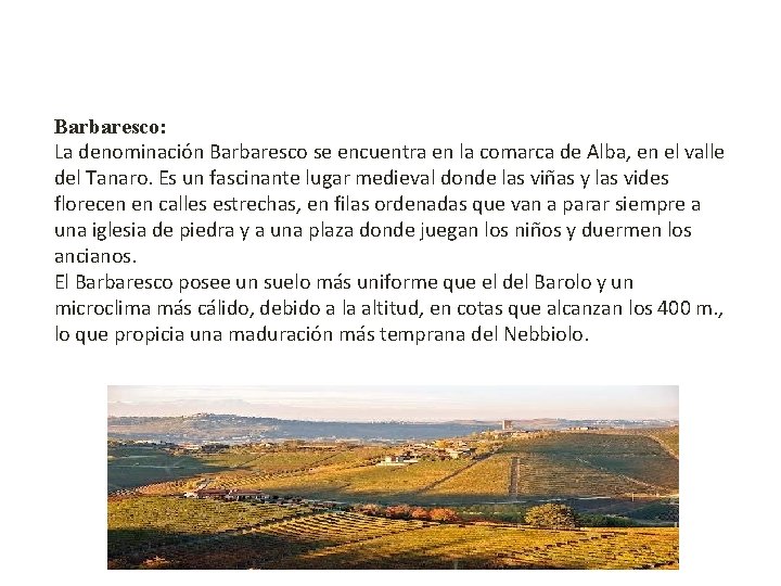Barbaresco: La denominación Barbaresco se encuentra en la comarca de Alba, en el valle