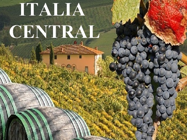 ITALIA CENTRAL 