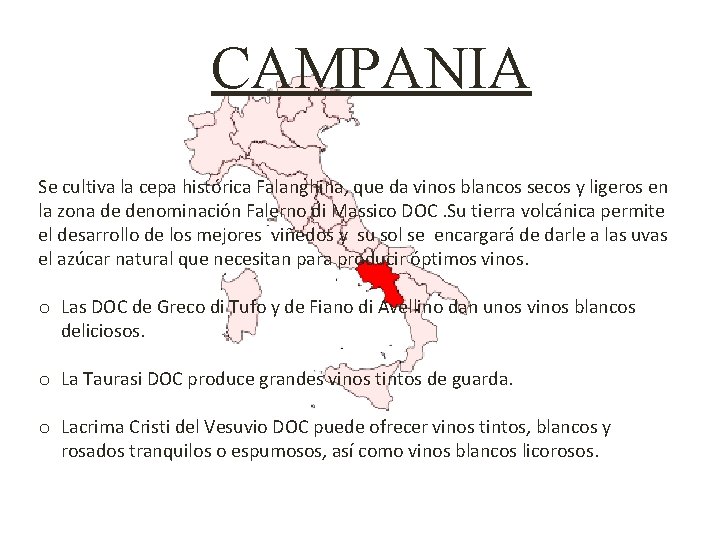 CAMPANIA Se cultiva la cepa histórica Falanghina, que da vinos blancos secos y ligeros