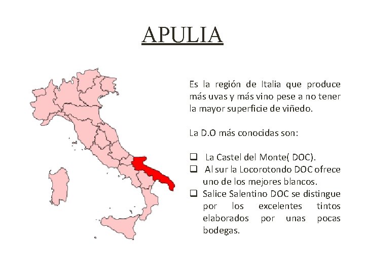 APULIA Es la región de Italia que produce más uvas y más vino pese