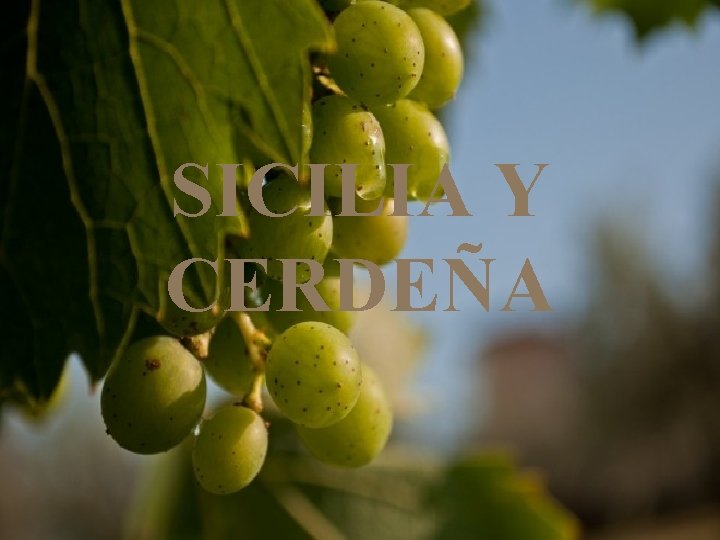 SICILIA Y CERDEÑA 