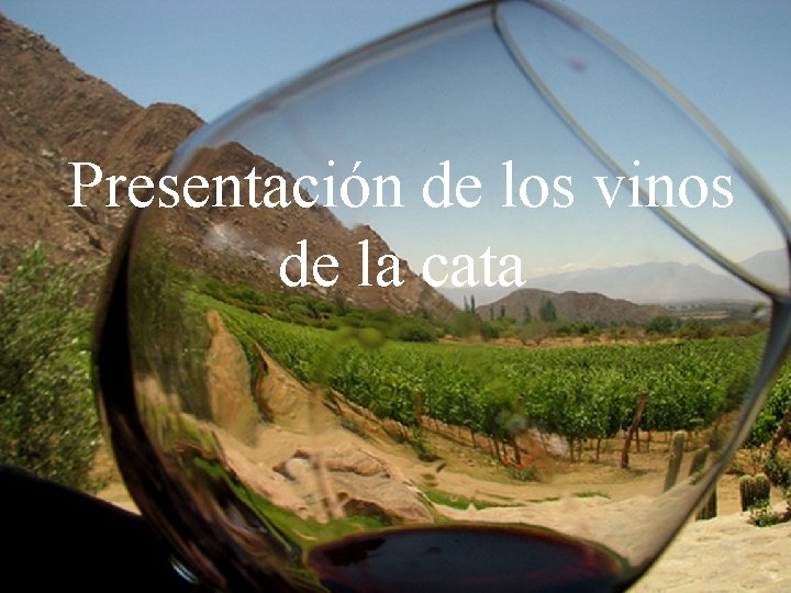 Presentación de los vinos de la cata 