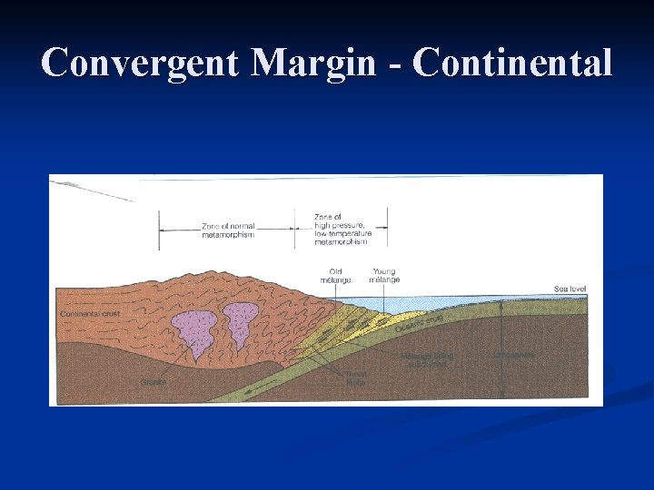 Convergent Margin - Continental 