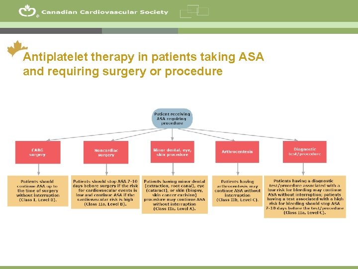 ® Antiplatelet therapy in patients taking ASA and requiring surgery or procedure 19 