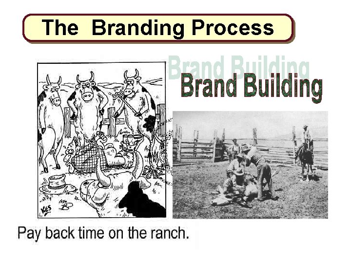 The Branding Process 