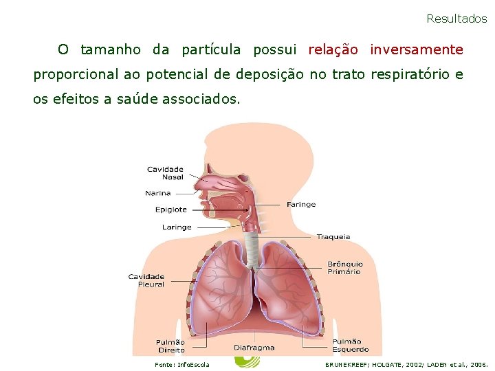 Resultados O tamanho da partícula possui relação inversamente proporcional ao potencial de deposição no