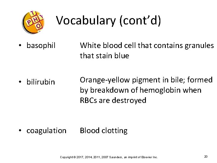 Vocabulary (cont’d) • basophil White blood cell that contains granules that stain blue •