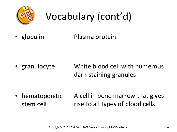 Vocabulary (cont’d) • globulin Plasma protein • granulocyte White blood cell with numerous dark-staining