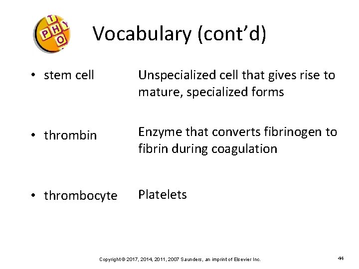 Vocabulary (cont’d) • stem cell Unspecialized cell that gives rise to mature, specialized forms