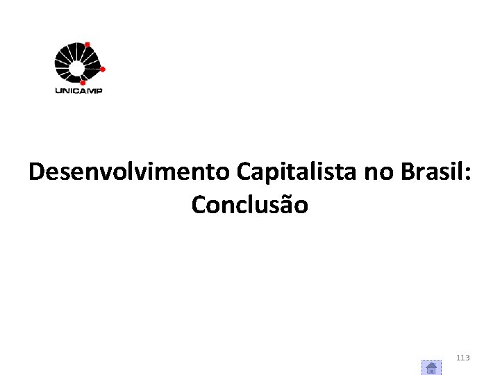 Desenvolvimento Capitalista no Brasil: Conclusão 113 