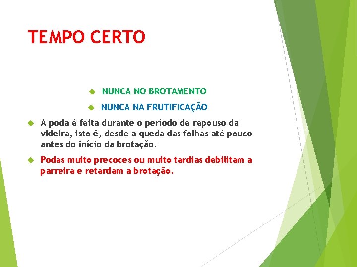 TEMPO CERTO NUNCA NO BROTAMENTO NUNCA NA FRUTIFICAÇÃO A poda é feita durante o