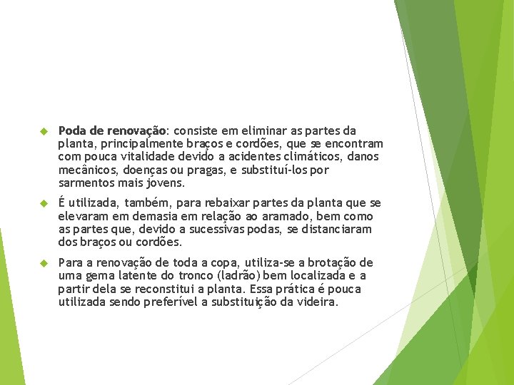  Poda de renovação: consiste em eliminar as partes da planta, principalmente braços e