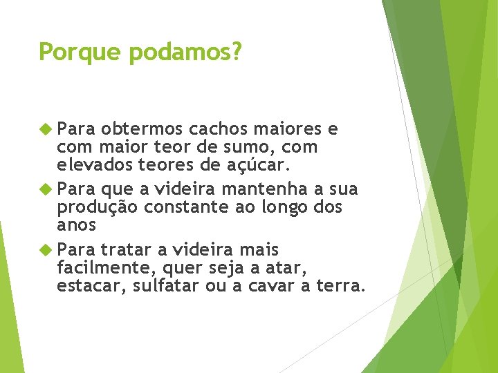 Porque podamos? Para obtermos cachos maiores e com maior teor de sumo, com elevados