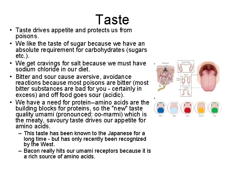 Taste • Taste drives appetite and protects us from poisons. • We like the Taste • Taste drives appetite and protects us from poisons. • We like the