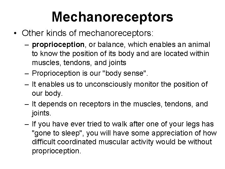 Mechanoreceptors • Other kinds of mechanoreceptors: – proprioception, or balance, which enables an animal