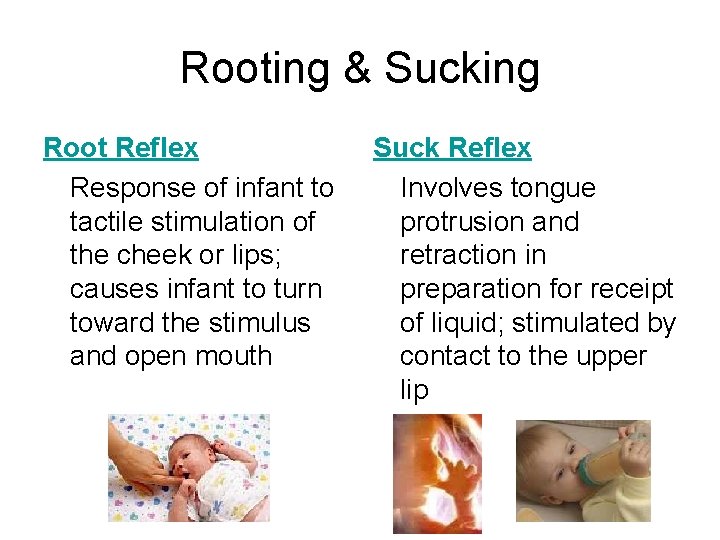 Rooting & Sucking Root Reflex Response of infant to tactile stimulation of the cheek