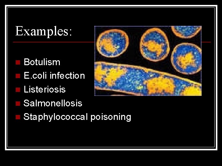 Lets Talk Safety AND Sanitation Objectives n After