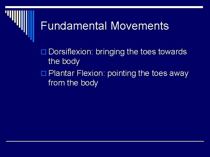 Fundamental Movements o Dorsiflexion: bringing the toes towards the body o Plantar Flexion: pointing Fundamental Movements o Dorsiflexion: bringing the toes towards the body o Plantar Flexion: pointing
