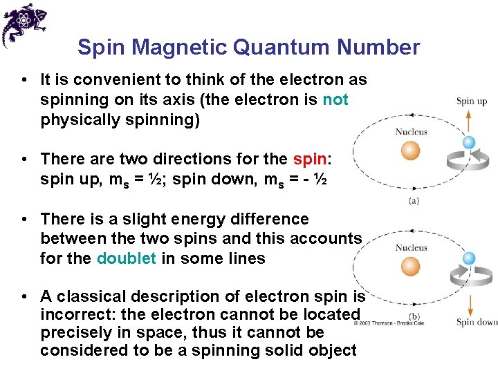 Spin Magnetic Quantum Number • It is convenient to think of the electron as