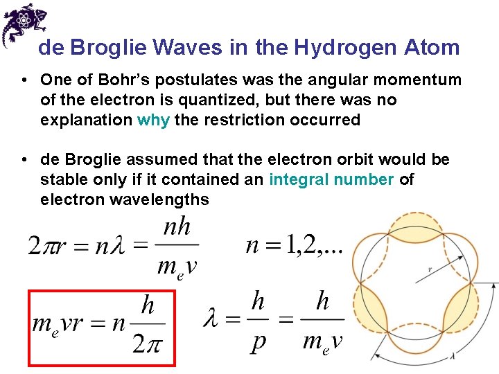 de Broglie Waves in the Hydrogen Atom • One of Bohr’s postulates was the