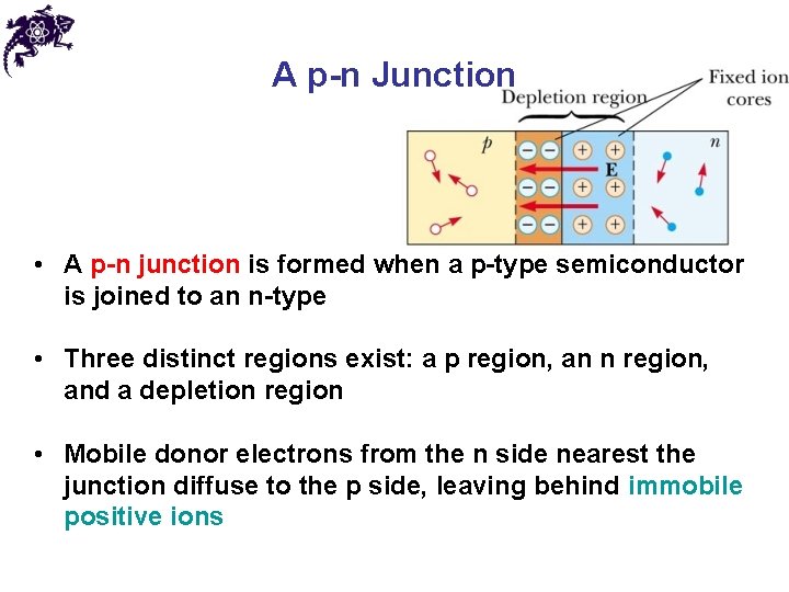 A p-n Junction • A p-n junction is formed when a p-type semiconductor is