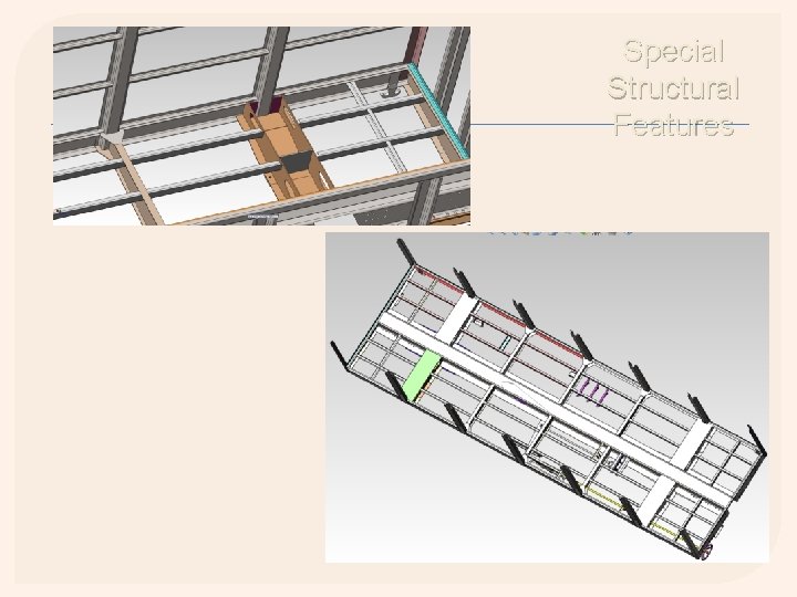 Special Structural Features 