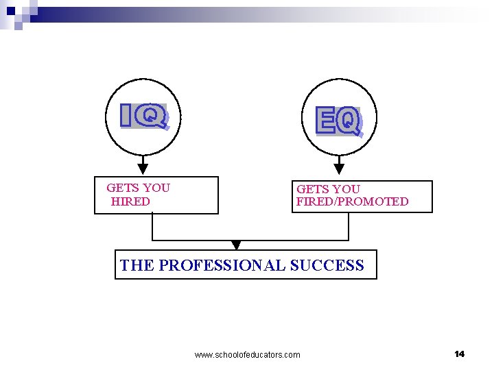 GETS YOU HIRED GETS YOU FIRED/PROMOTED THE PROFESSIONAL SUCCESS www. schoolofeducators. com 14 