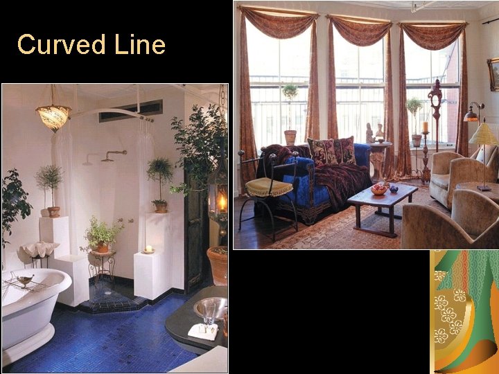 Curved Line Curved Line