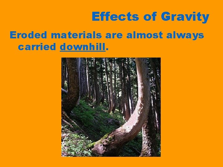 Effects of Gravity Eroded materials are almost always carried downhill. 