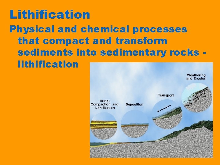 Lithification Physical and chemical processes that compact and transform sediments into sedimentary rocks lithification