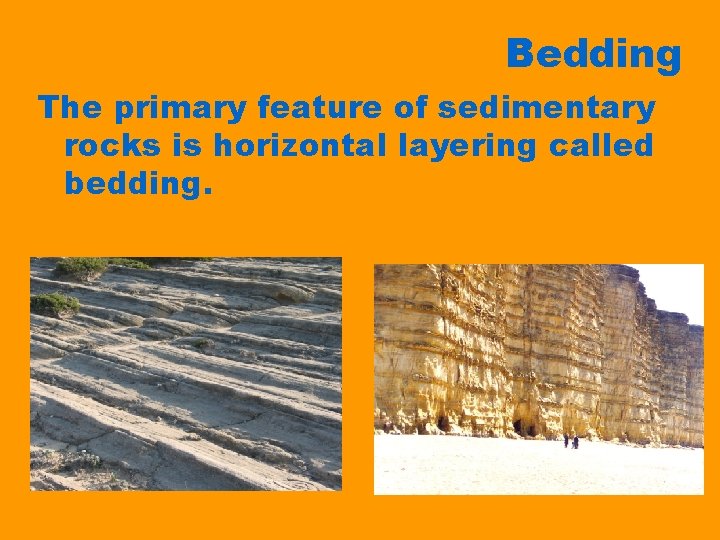 Bedding The primary feature of sedimentary rocks is horizontal layering called bedding. 