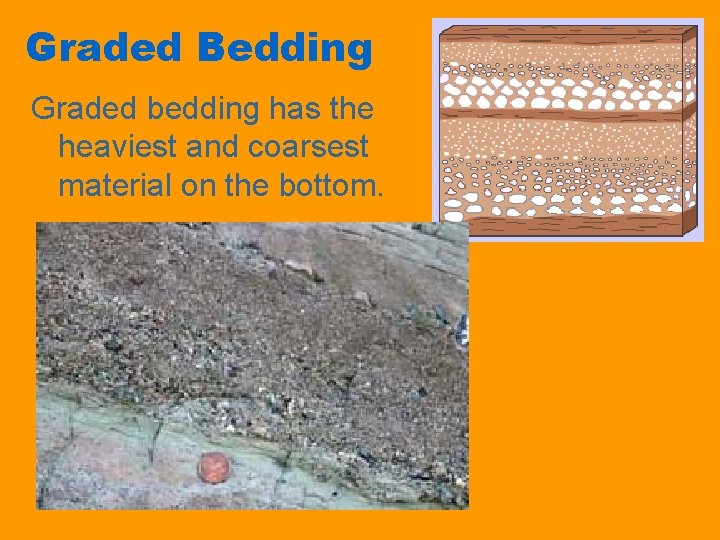 Graded Bedding Graded bedding has the heaviest and coarsest material on the bottom. 