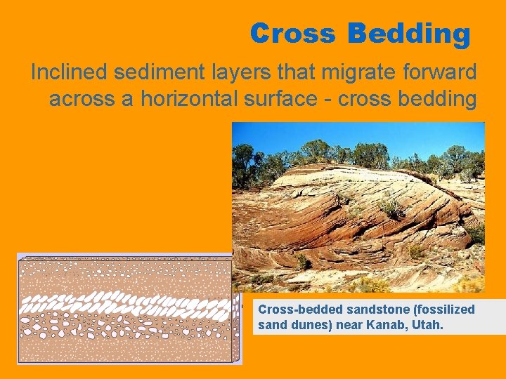 Cross Bedding Inclined sediment layers that migrate forward across a horizontal surface - cross