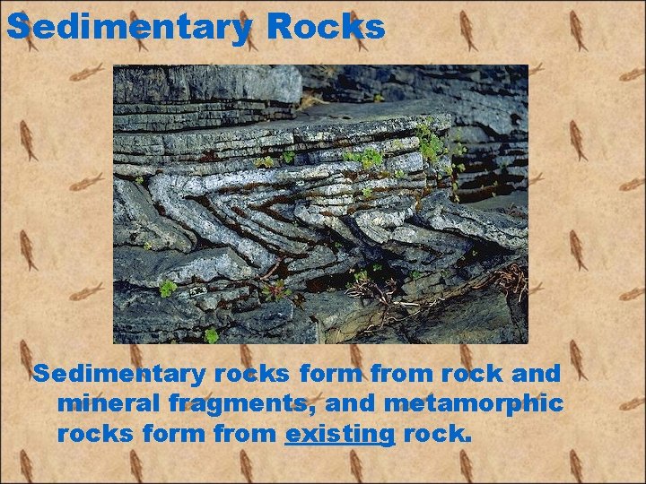 Sedimentary Rocks Sedimentary rocks form from rock and mineral fragments, and metamorphic rocks form