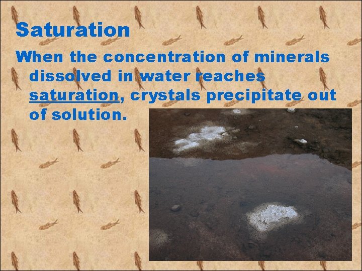 Saturation When the concentration of minerals dissolved in water reaches saturation, crystals precipitate out