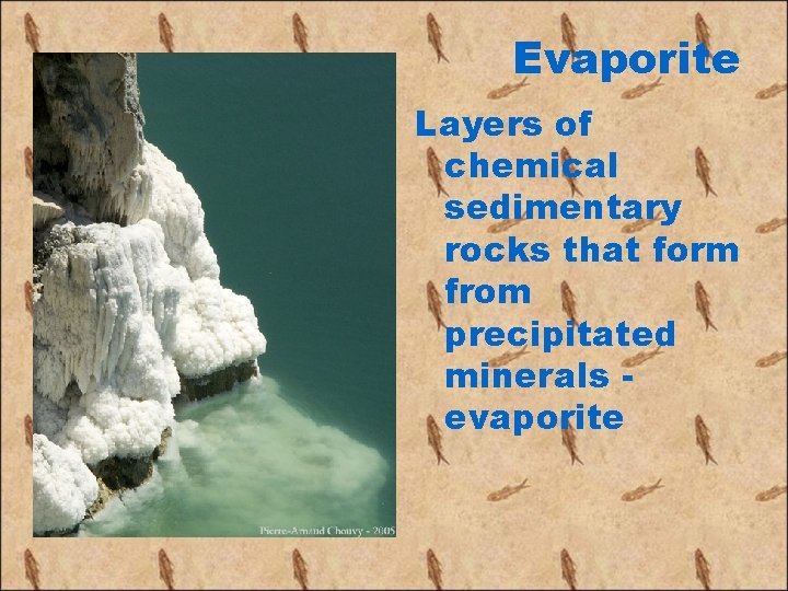 Evaporite Layers of chemical sedimentary rocks that form from precipitated minerals evaporite 