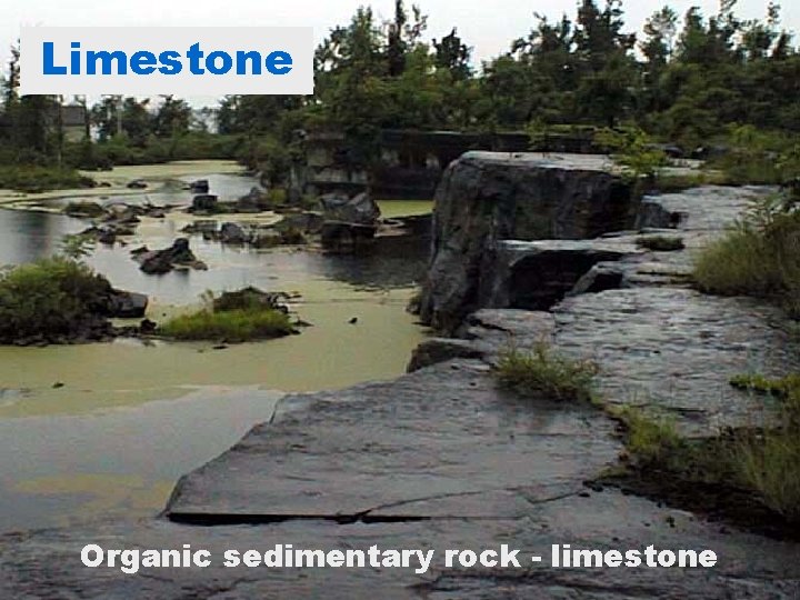 Limestone Organic sedimentary rock - limestone 