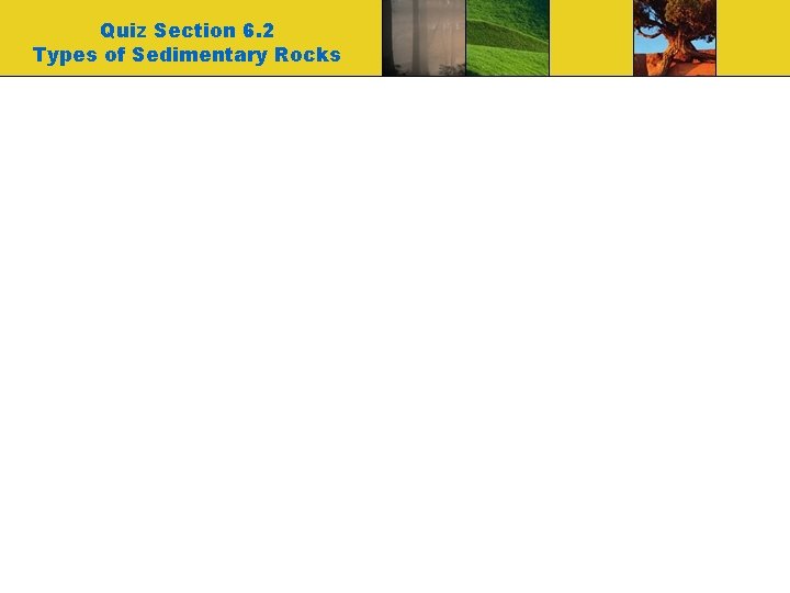 Quiz Section 6. 2 Types of Sedimentary Rocks 