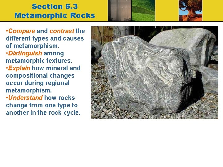 Section 6. 3 Metamorphic Rocks • Compare and contrast the different types and causes